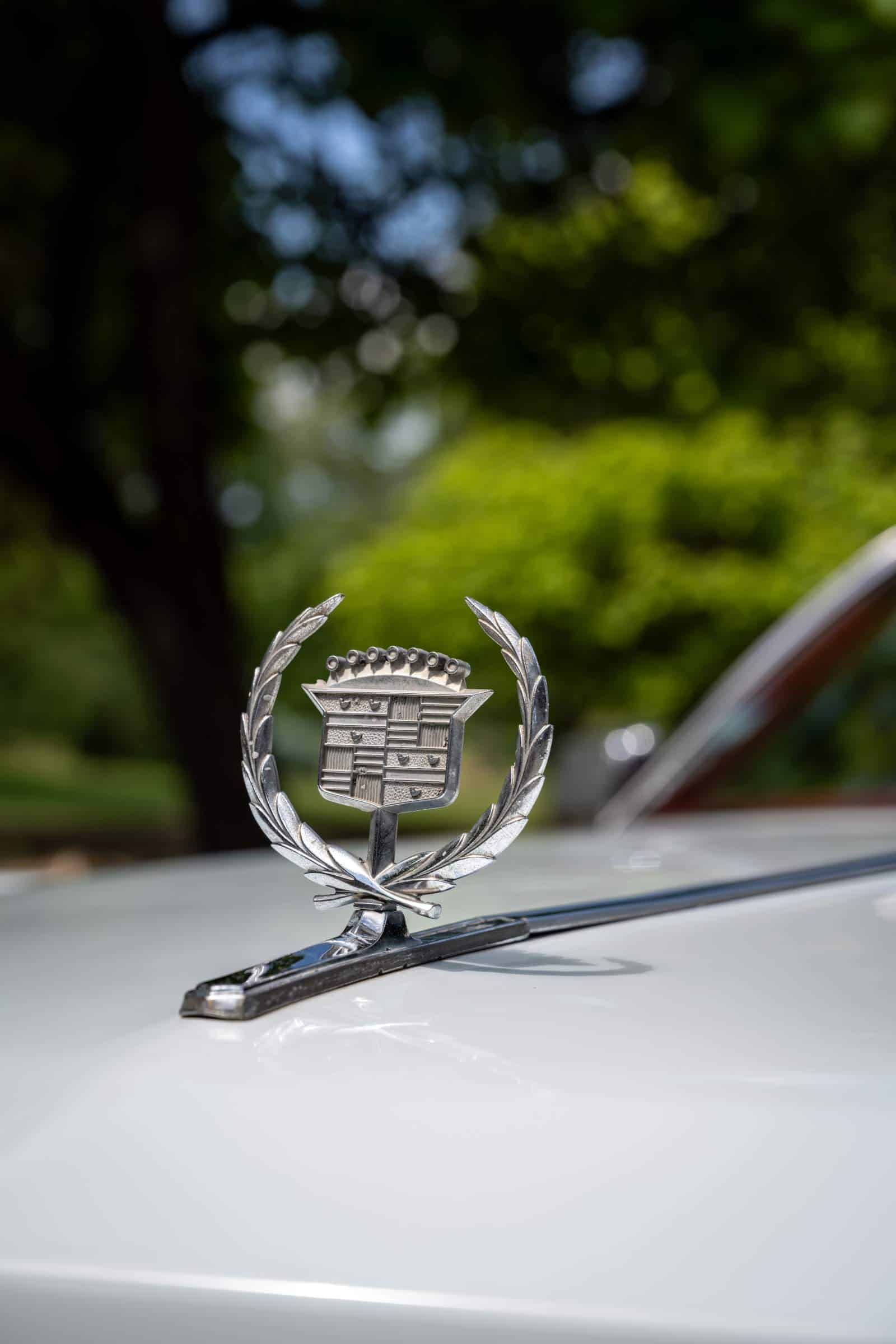 cadillac eldorado beli oldtajmer limo star (17 of 19) (LS)